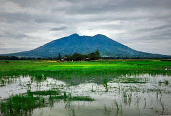 Сильное землетрясение зафиксировано на Филиппинах