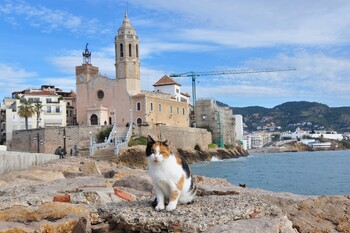 Турпоток в Испанию в июле превысил допандемийный уровень