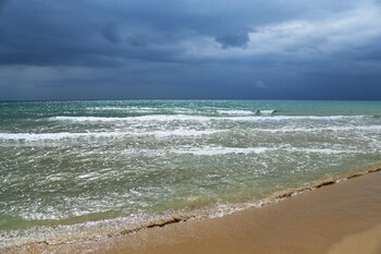 В Болгарии туристов эвакуировали с морских курортов