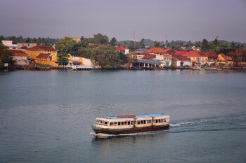 В Индии произошла вспышка смертельно опасного вируса 