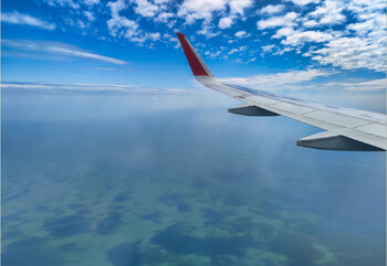 Авиакомпании запускают рейсы из Самары в Ташкент и Шарджу