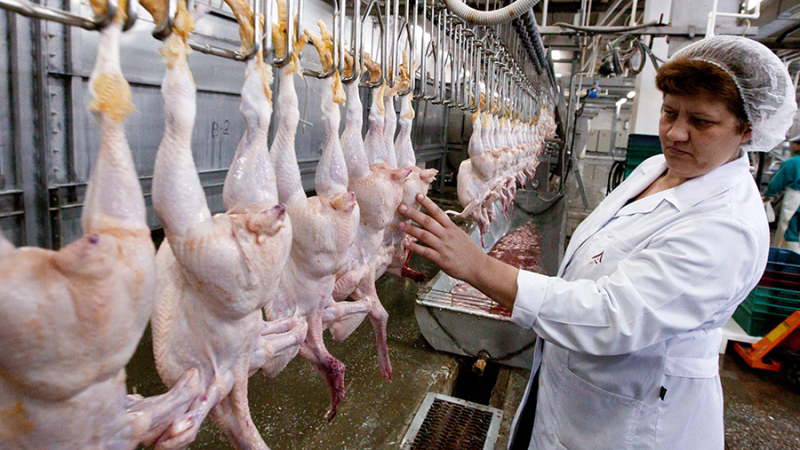 ФАС сообщила о снижении оптовых цен на мясо кур в России