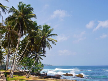Из Екатеринбурга на Шри-Ланку осенью полетят две авиакомпании
