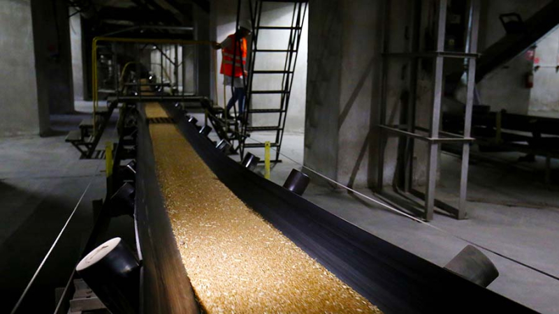 Правительство РФ утвердило перечень сельхозпродукции для расчета через спецсчета