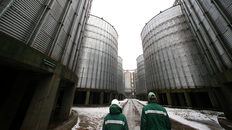 Россия и КНР запустят крупное сельхозпредприятие в Красноярском крае