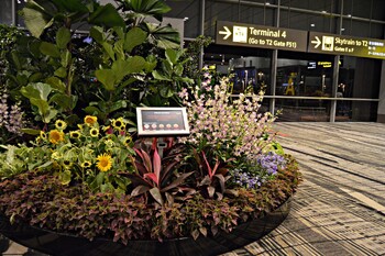 В аэропорту Сингапура введут проверку пассажиров по биометрии лица