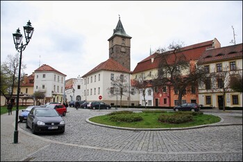 В Чехии в номере отеля туристы обнаружили 256 летучих мышей