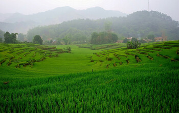 Во Вьетнаме из-за наводнения погибли туристы 