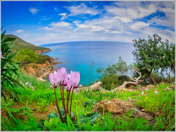 Кипр в 2024 году намерен войти в Шенгенскую зону 