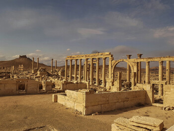 Музей Пальмиры откроется для публики в конце 2024 года