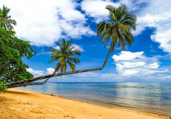 Нынешний год может стать самым жарким на планете за 125 000 лет