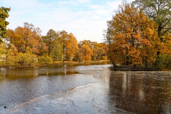 Первый день ноября в Петербурге стал самым тёплым в истории