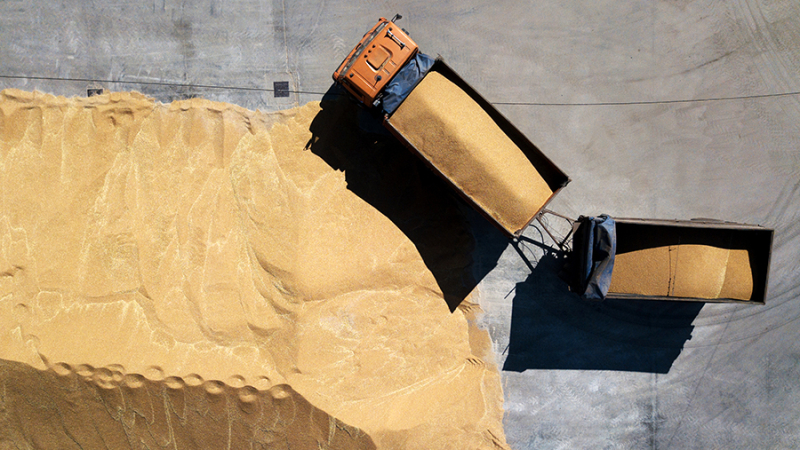 Путин заявил, что Россия удержит лидерство в мире по экспорту пшеницы