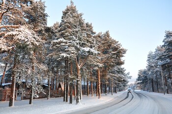 В Карелии на пути в Финляндию задержаны более 150 мигрантов с истекшими визами РФ