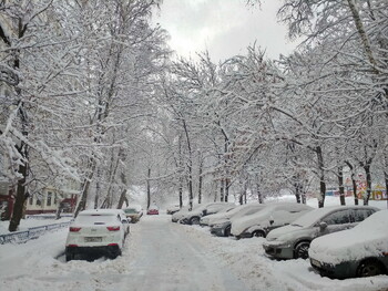В Подмосковье прошёл самый сильный за 40 лет снегопад