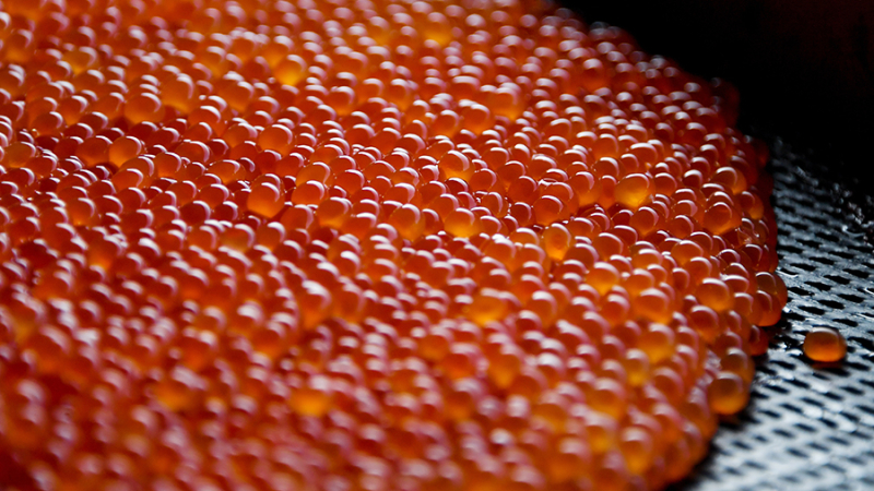 В Росрыболовстве спрогнозировали снижение цен на красную икру и горбушу