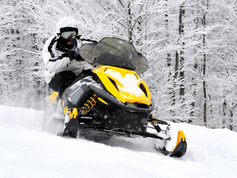 Авито Авто: сезонный спрос на снегоходы с пробегом вырос на 67% в начале зимы
