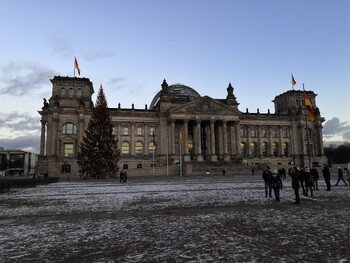 Экоактивисты нападают на рождественские ёлки в Германии 