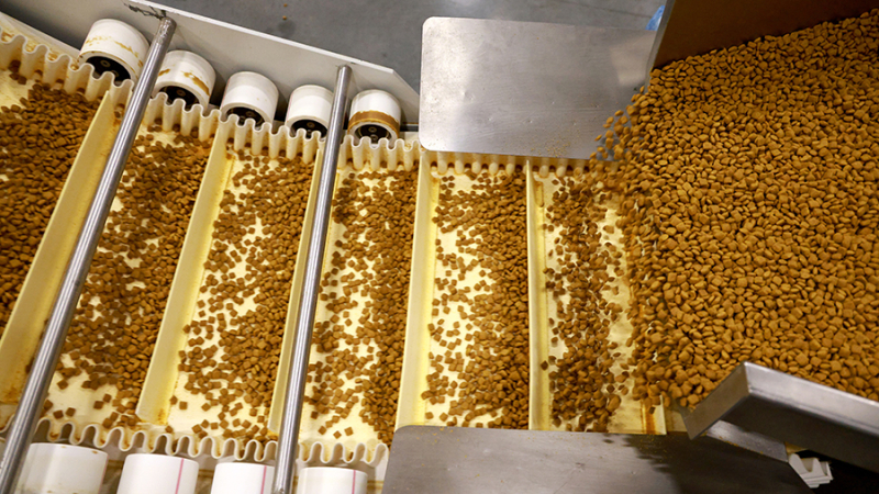 Экономист оценил идею маркировать продукты с насекомыми