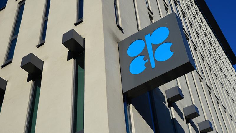 Эксперт оценил решение Бразилии вступить в ОПЕК+