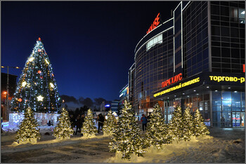 Генеральные консульства Германии закрылись в Екатеринбурге и Новосибирске 