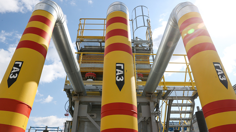 Парламент Болгарии проголосовал за отмену налога за транзит газа из РФ