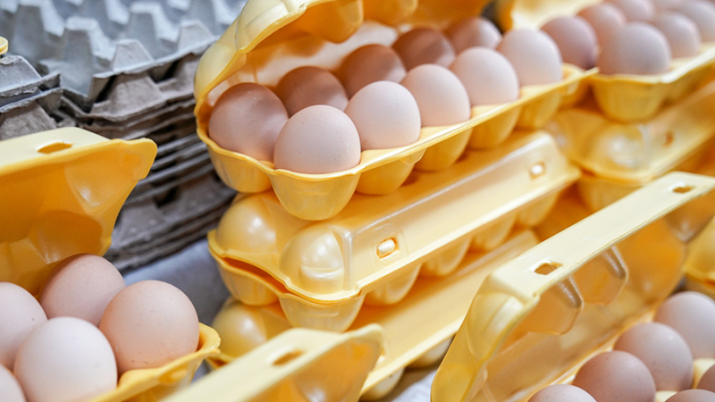 Патрушев заявил о корректировке цен на яйца за счет снятия импортной пошлины