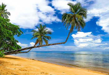 Турпоток из РФ в Индонезию в этом году будет рекордным