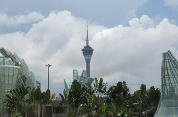 В Макао турист умер после прыжка с самой высокой площадки для банджи-джампинга