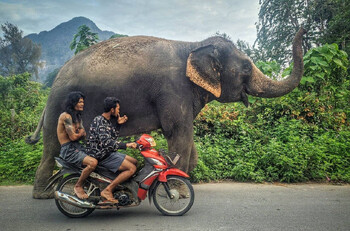 Власти Таиланда пригласят туристов в малоизвестные регионы страны