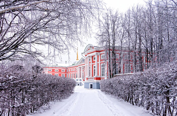 Высота снежного покрова в Москве достигла максимума за 150 лет