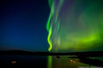 «Белавиа» запустит прямой рейс Минск — Мурманск