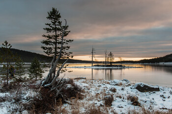Финляндия на месяц продлила закрытие КПП на границе с Россией 