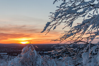 Финляндия построит на границе с РФ дополнительные ограждения