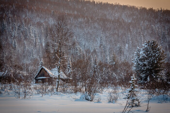 Из-за аварии на горнолыжном подъёмнике в Яхроме пострадали люди