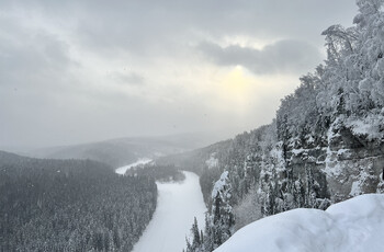 Проводница поезда РЖД высадила пассажиров ночью в тайге