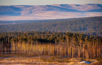 РЖД и авиакомпании перевезут пассажиров поездов из района аварии в Забайкалье