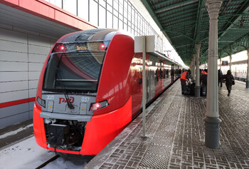 РЖД внесет изменения в правила перевозки животных