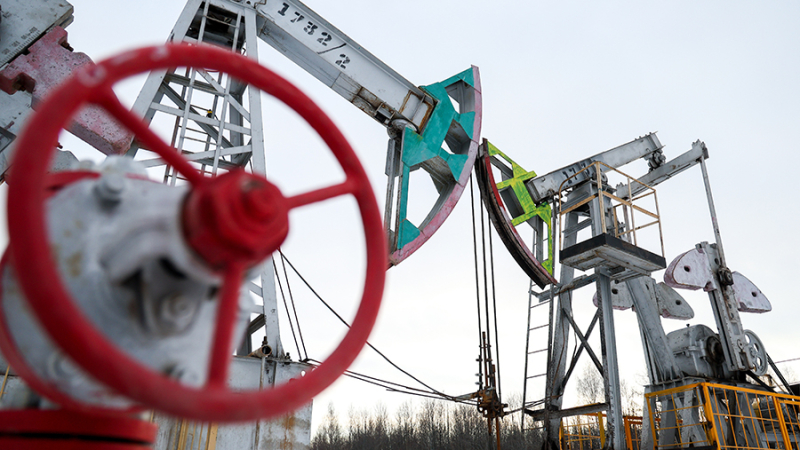 Шульгинов допустил сохранение добычи нефти в РФ в 2024 году на уровне 2023-го