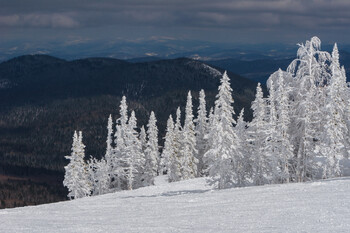 У россиян появилась возможность покататься на горных лыжах в Северной Корее