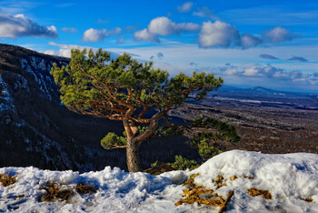 В Краснодарском крае произошло землетрясение
