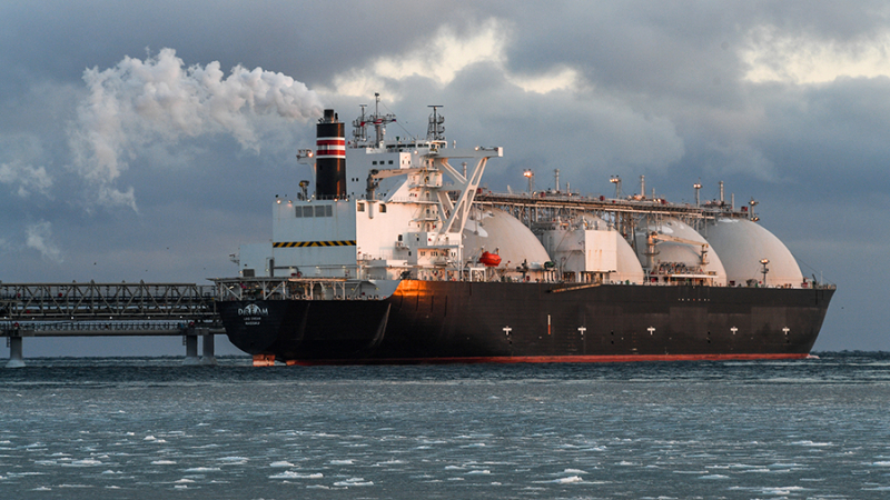 В палате представителей указали на усиление России из-за решения Байдена по СПГ