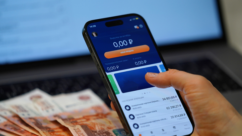 В РФ самозанятые предоставили госкомпаниям товары и услуги на 7 млрд рублей