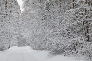 Высота сугробов в Москве превысила полметра