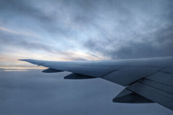 «Белавиа» полетит в Москву из Бреста 
