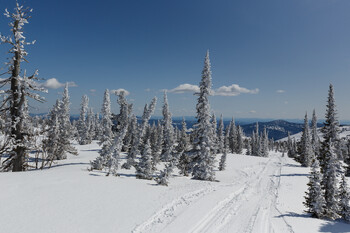 Ещё две группы туристов из РФ поедут кататься на лыжах в Северную Корею