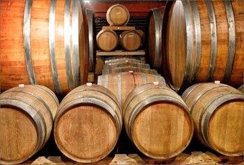 Испанские фермеры в ходе акции протеста вылили 25 000 литров вина