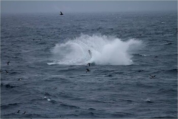 На Камчатке произошло второе за сутки землетрясение