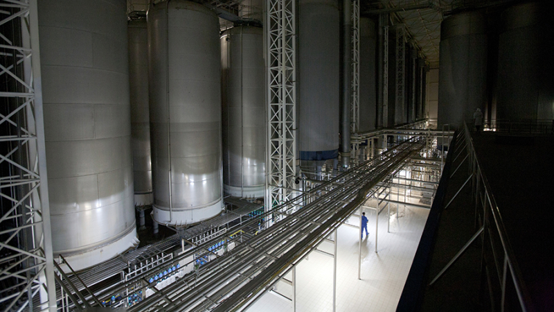 Путин поручил поддерживать переданные Росимуществу зарубежные компании