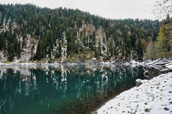 В Абхазии турист из РФ погиб, сорвавшись с канатной дороги